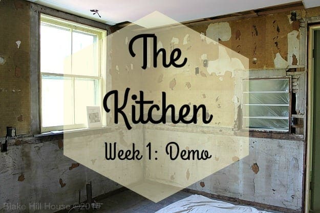 Lowe's Kitchen Remodel Process - Demo
